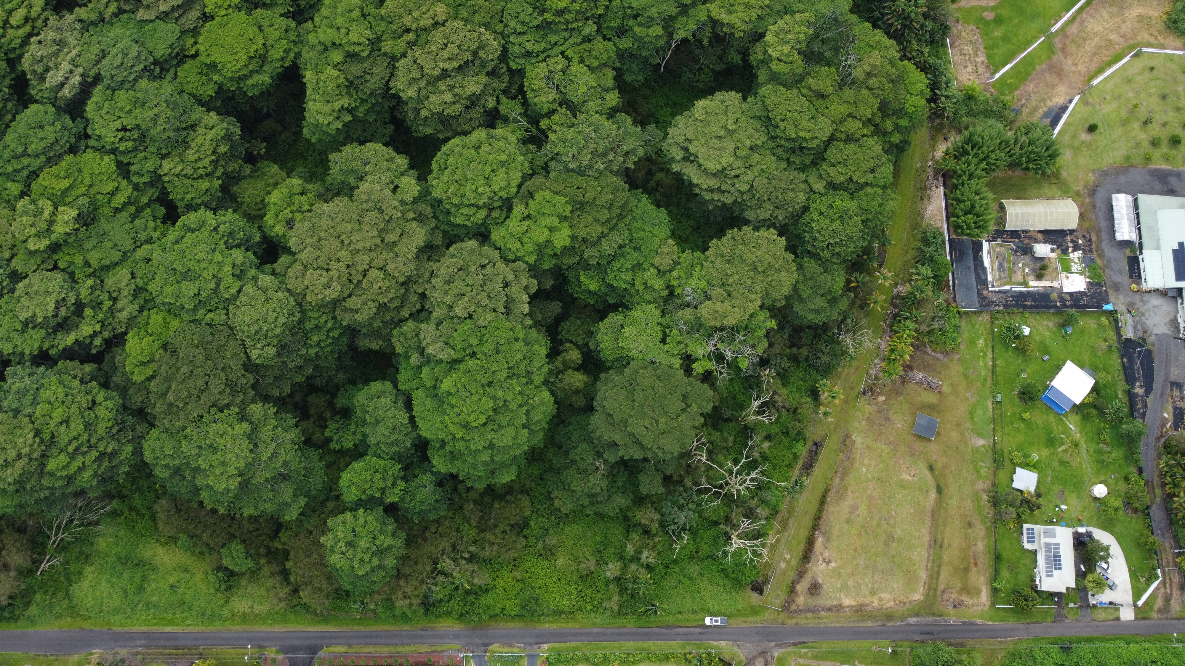 17-4113 Kukui Camp Rd Property Photo 6