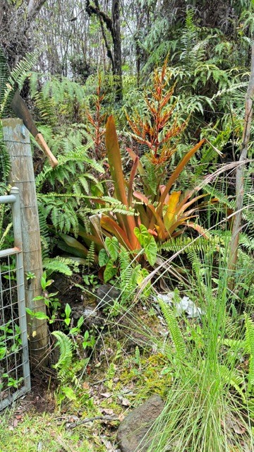 16-1570 Road 4 (io Kea) Property Photo 2