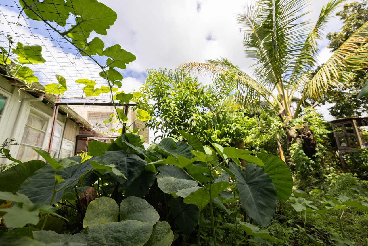 74 Maikai St Property Photo 2