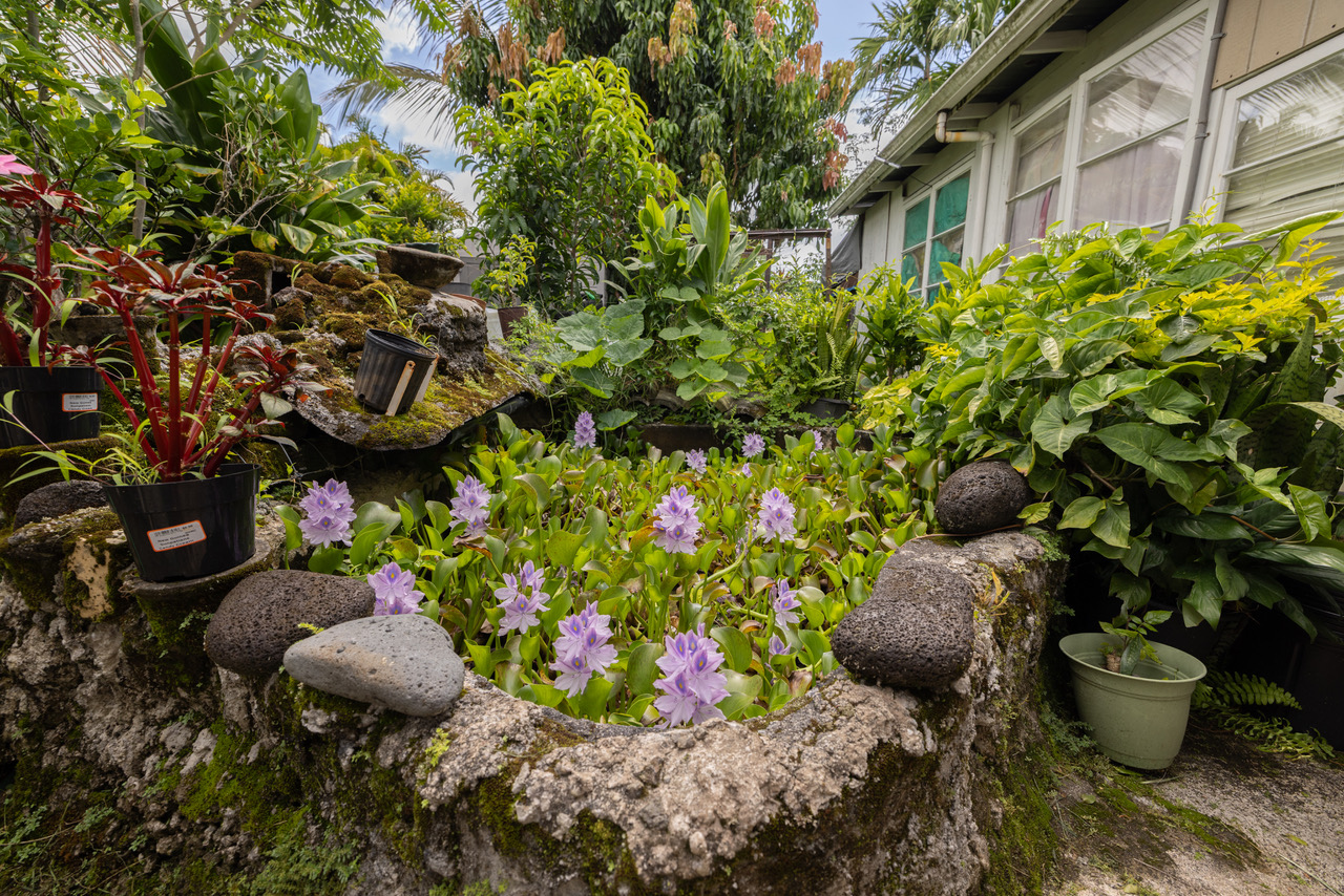 74 Maikai St Property Photo 3