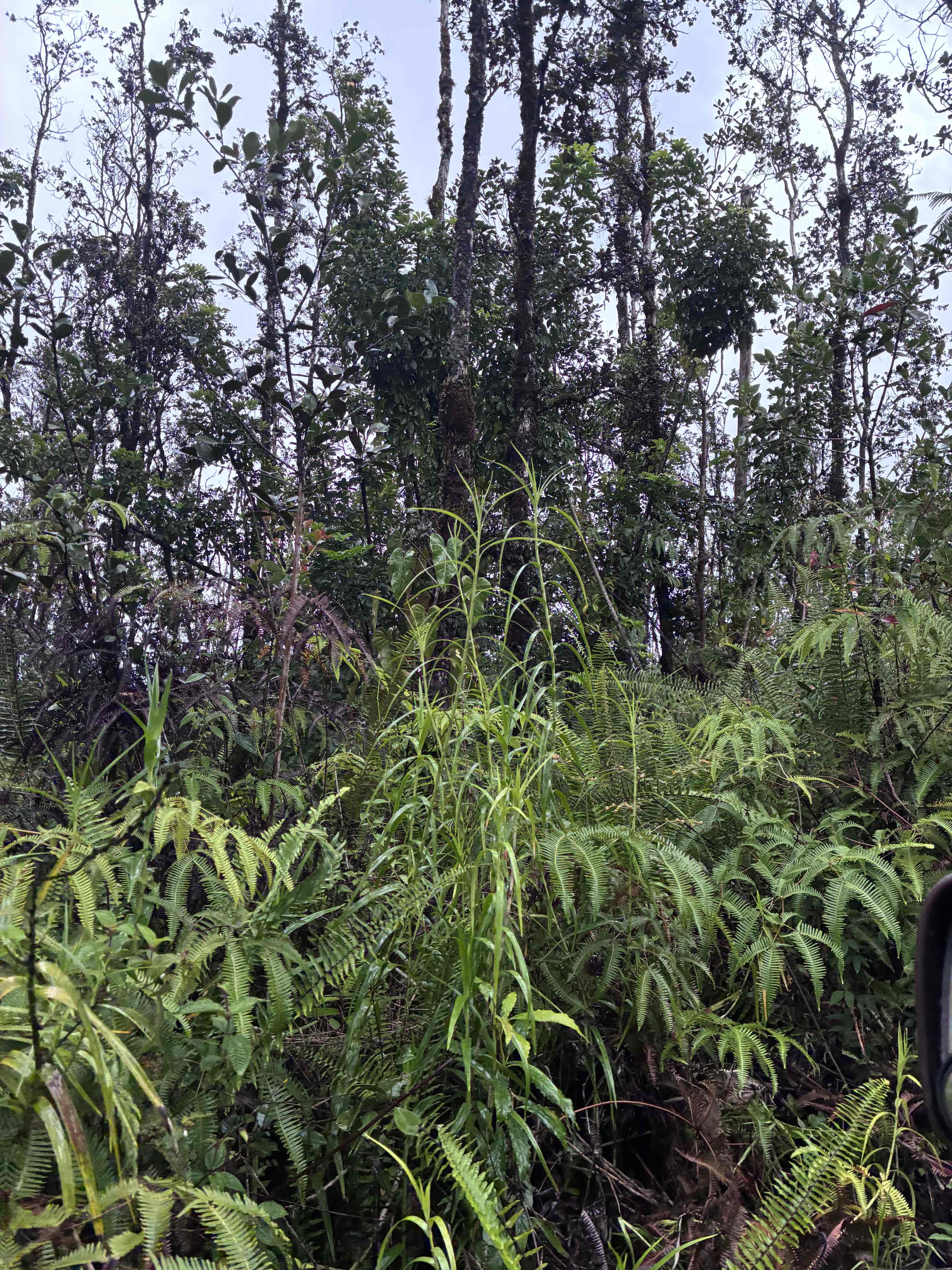 Road 5 (uau) Property Photo 2