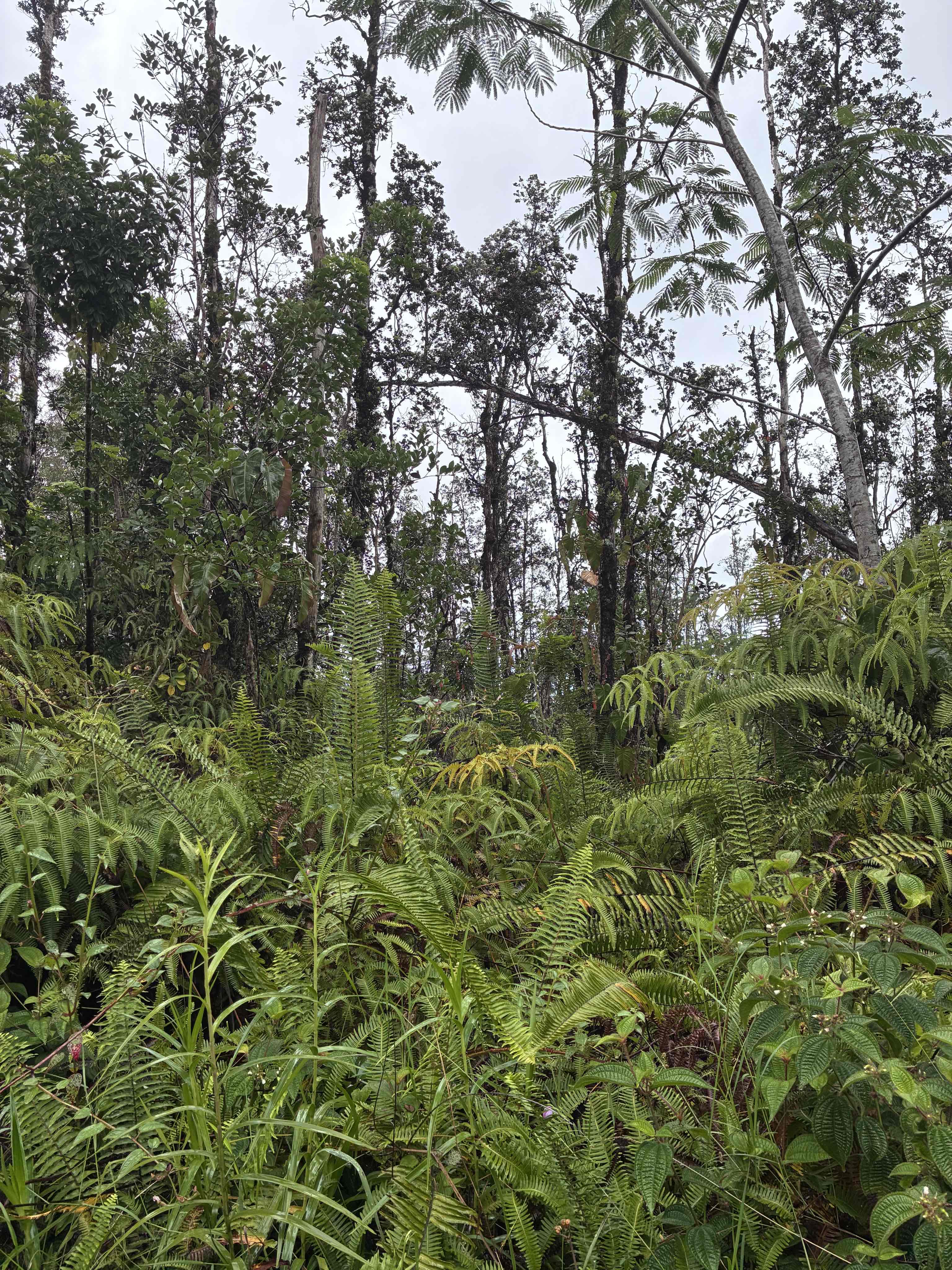 Road 5 (uau) Property Photo 3