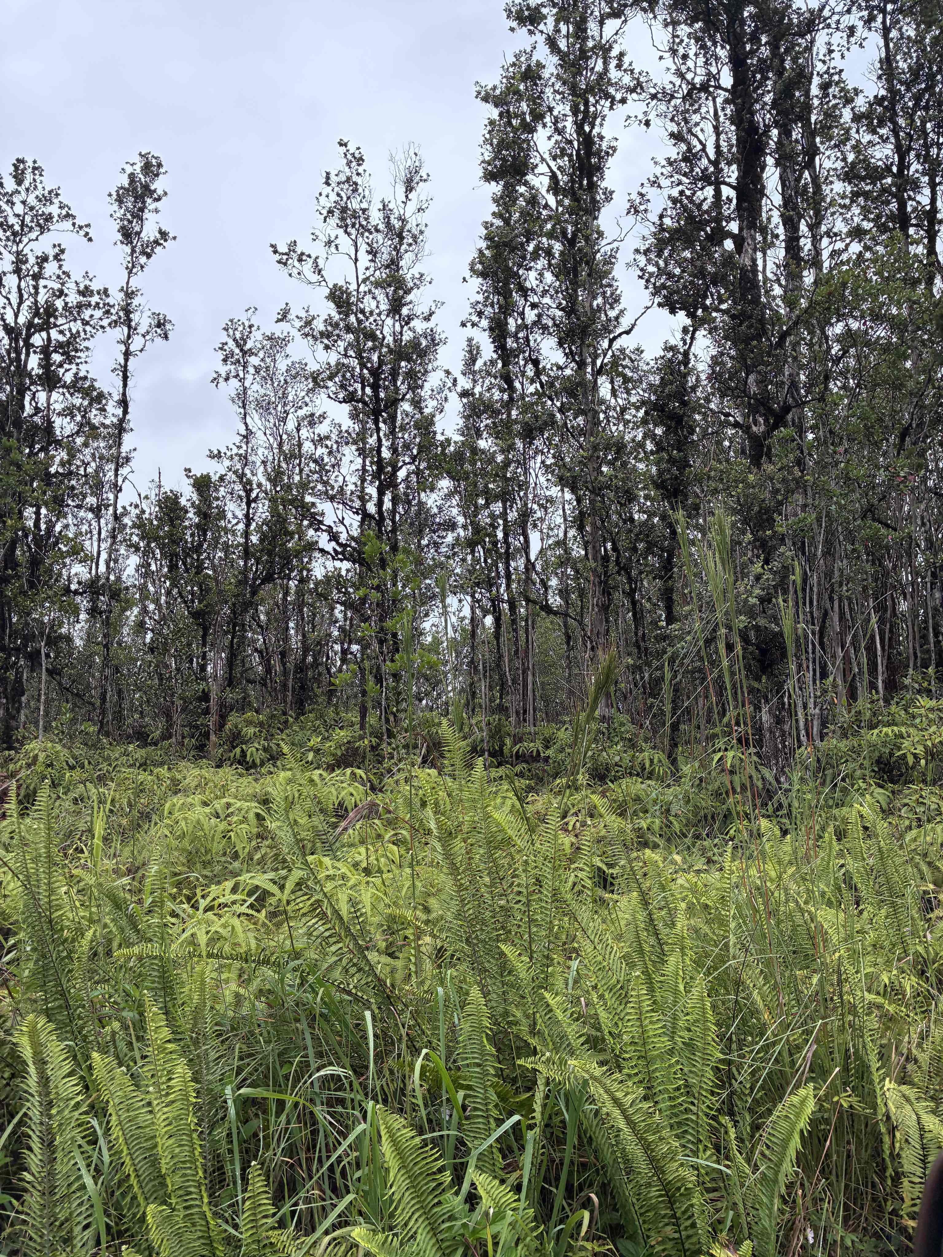 Road 5 (uau) Property Photo 1
