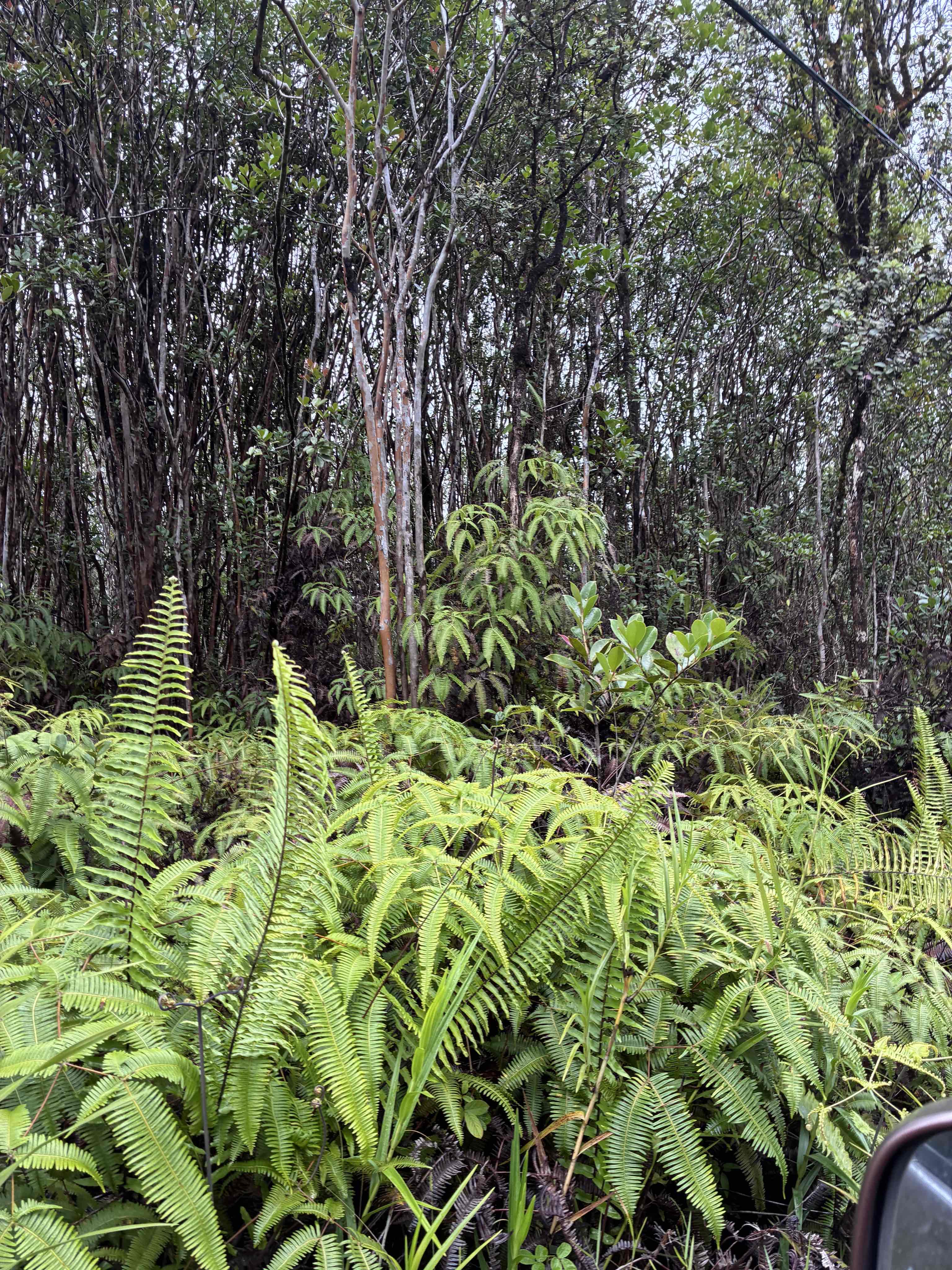 Road 5 (uau) Property Photo 2
