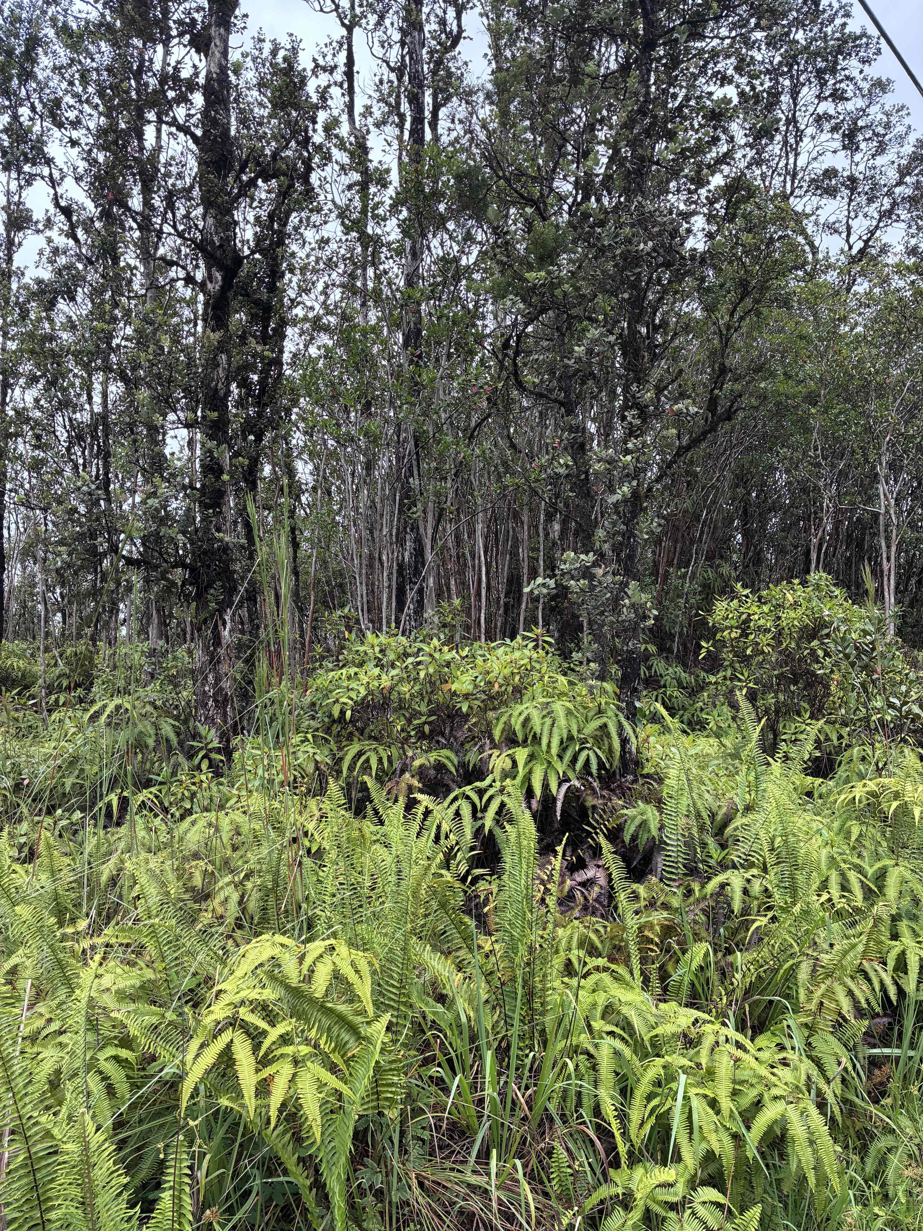 Road 5 (uau) Property Photo 3