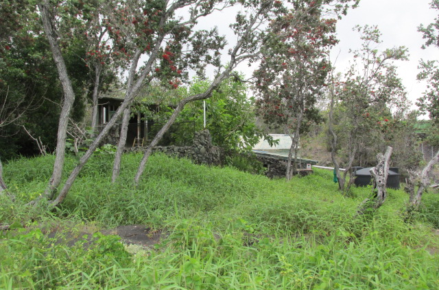 92-8778 Catamaran Ln Property Photo 15