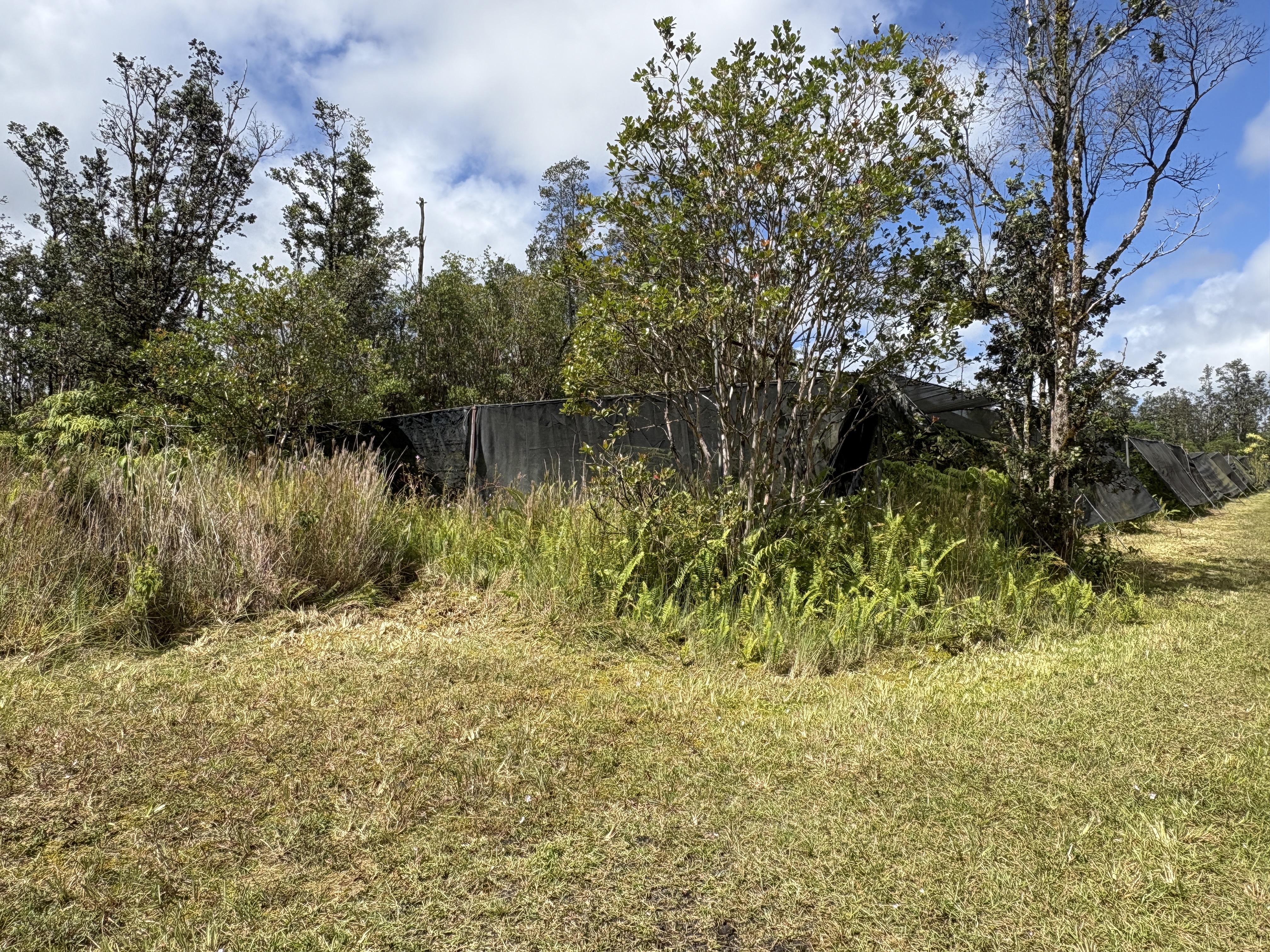 Road 3 (hopue) Property Photo 3