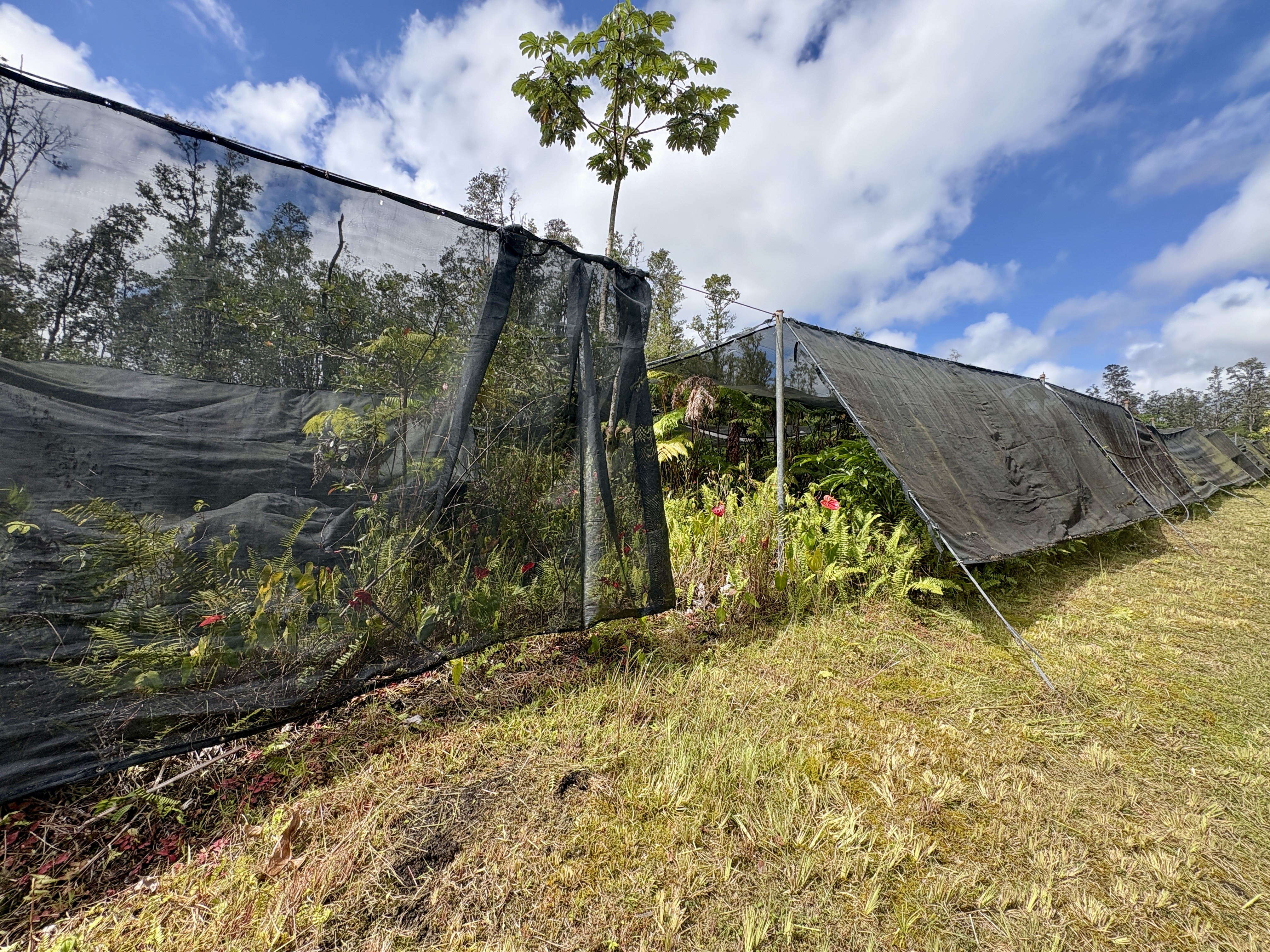 Road 3 (hopue) Property Photo 4