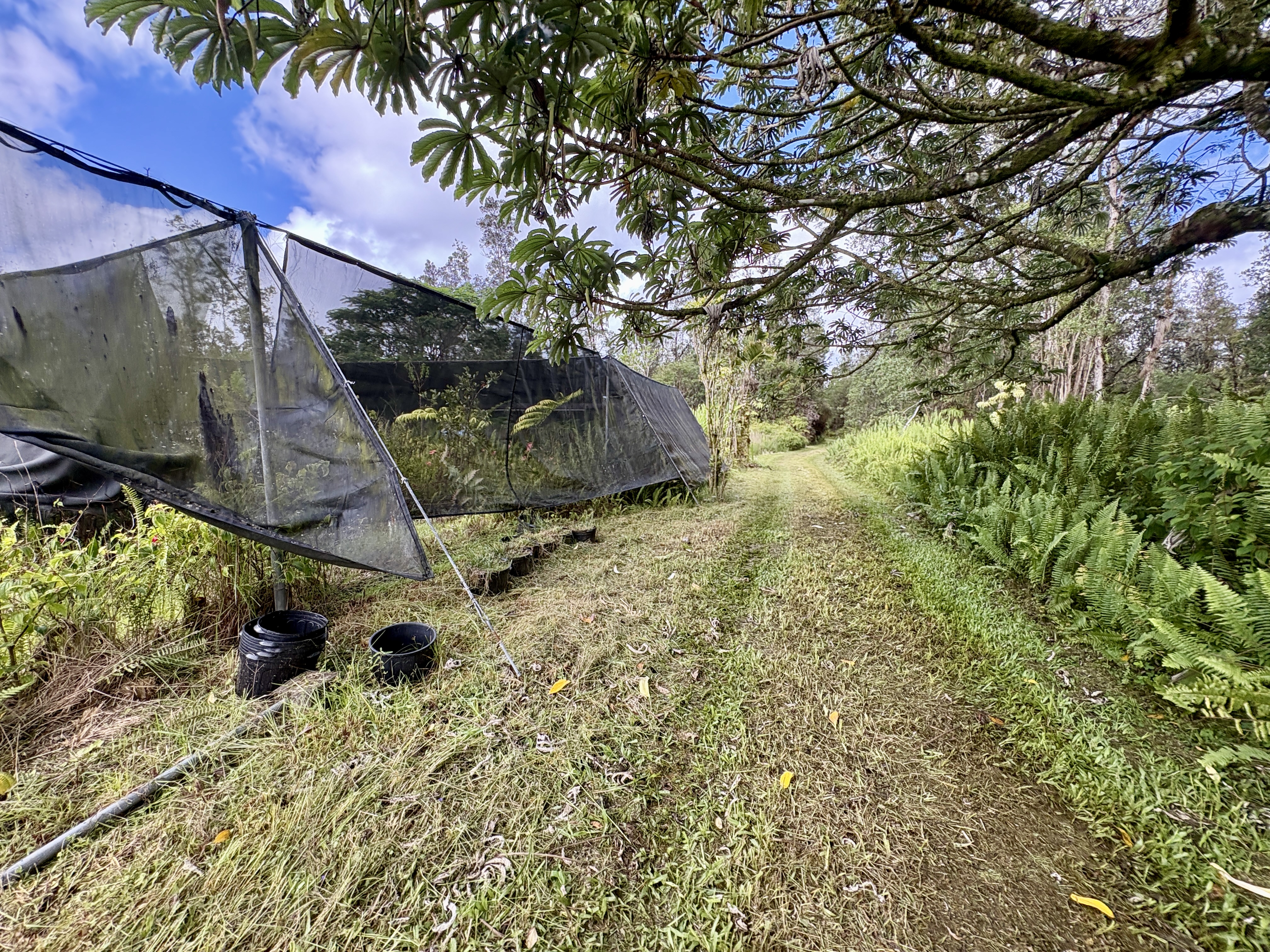 Road 3 (hopue) Property Photo 6