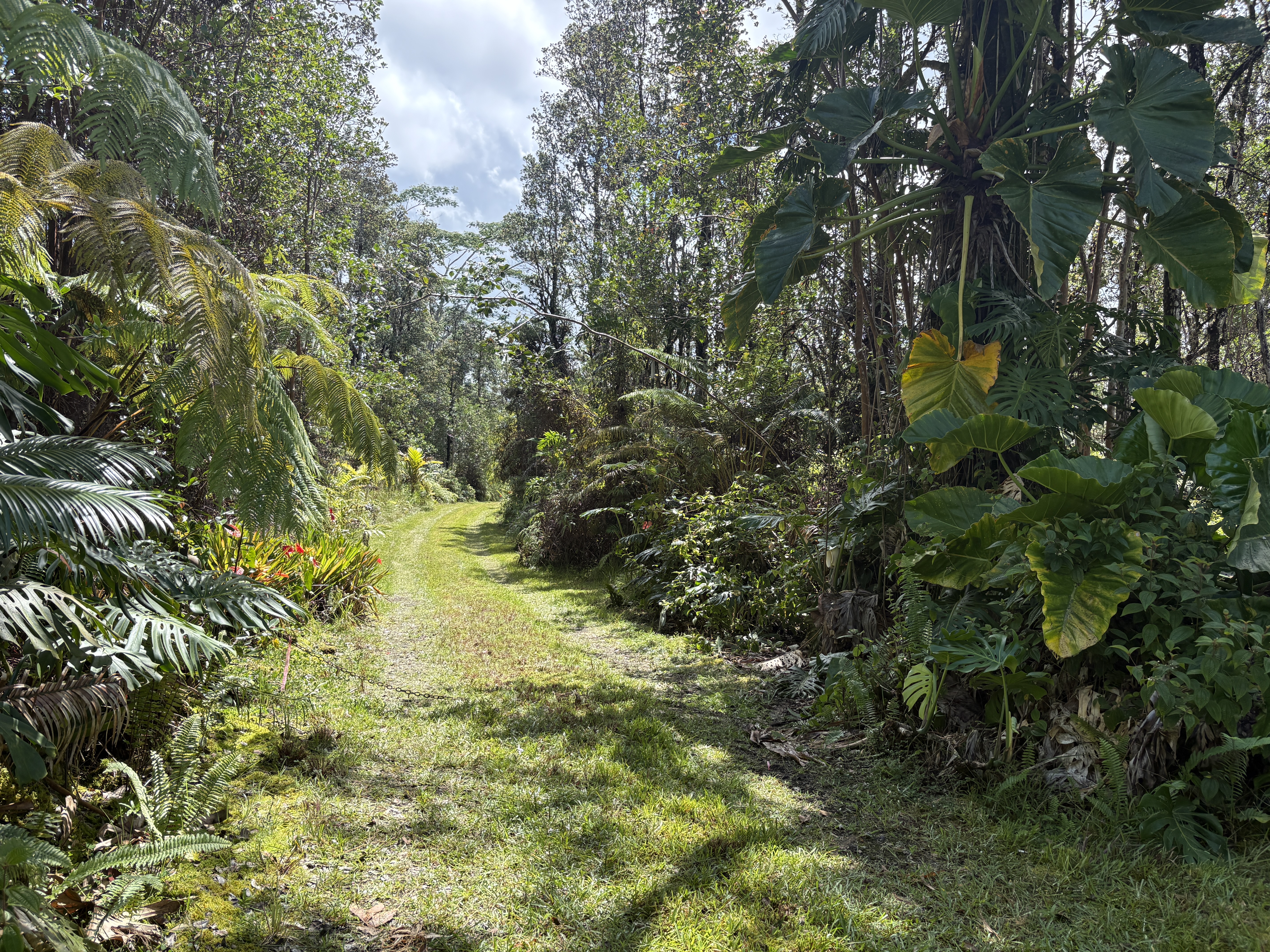 Road 3 (hopue) Property Photo 8