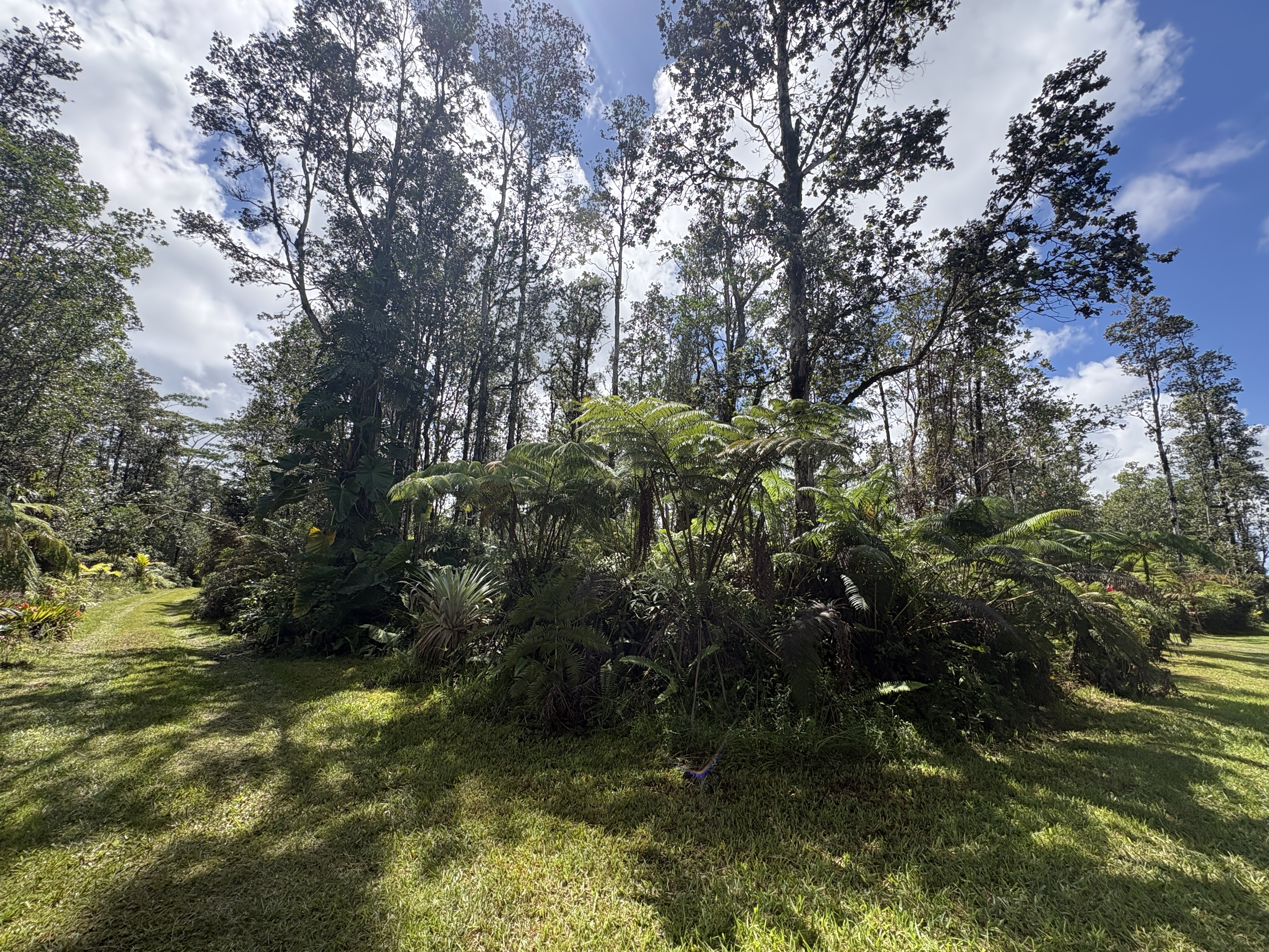 Road 3 (hopue) Property Photo 9
