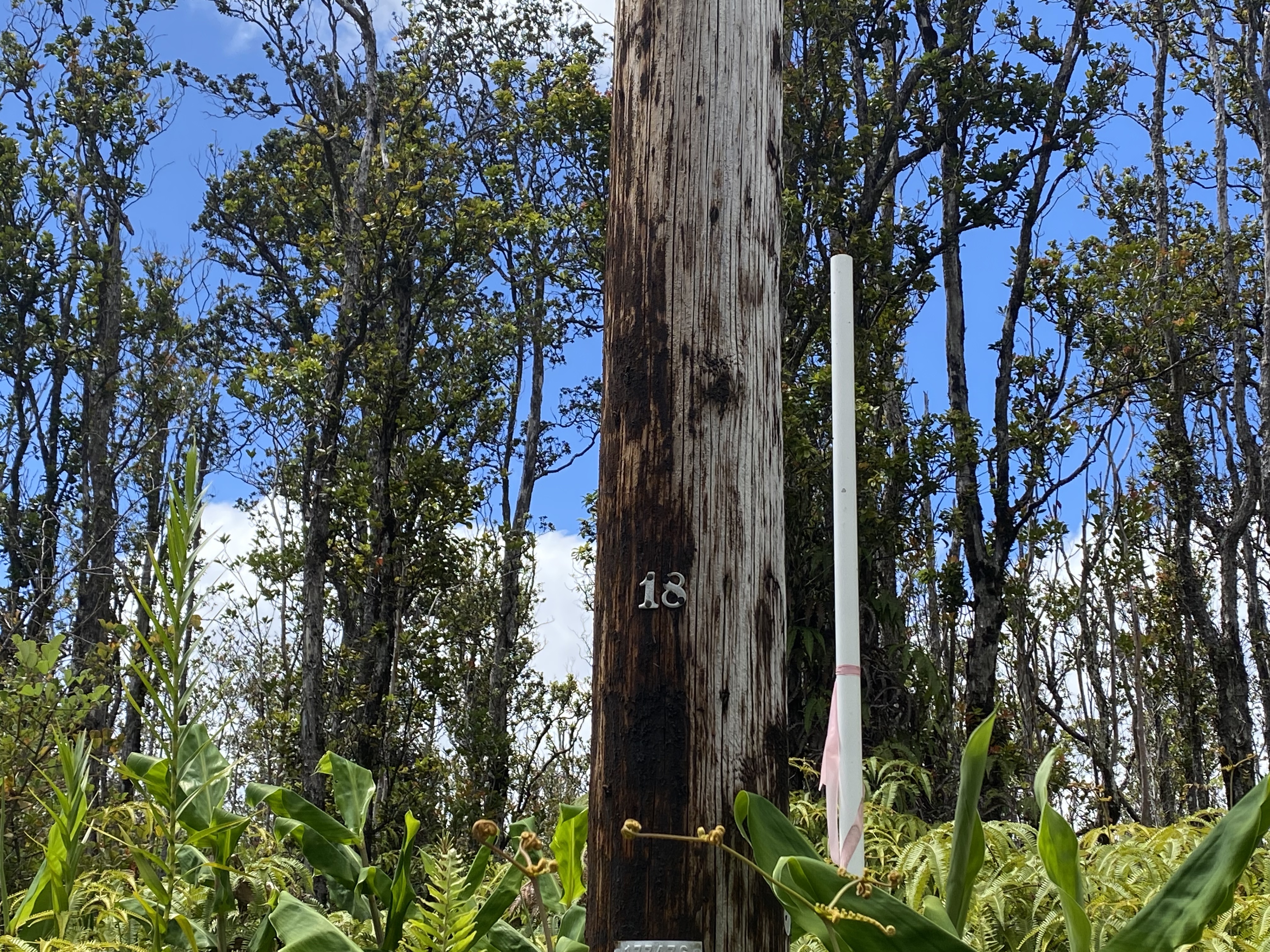 Makoa Rd Property Photo 4