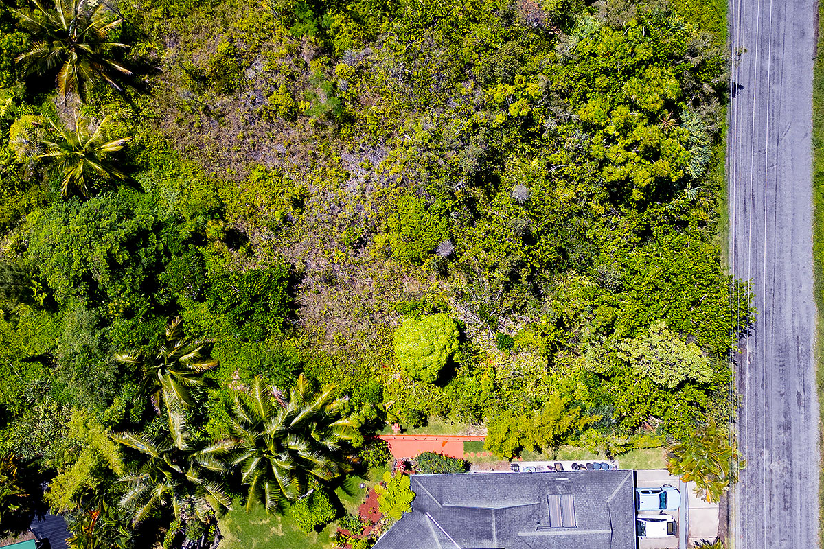 Beach Rd Property Photo 3