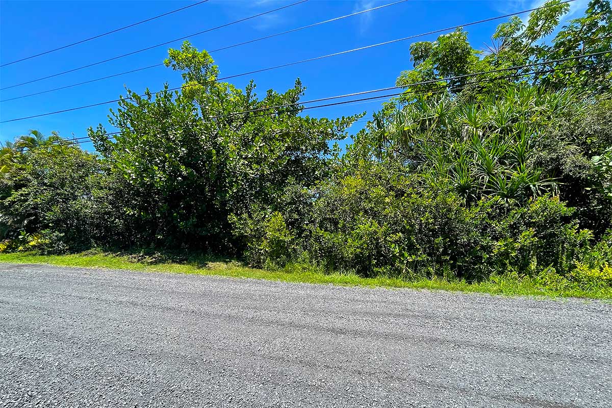 Beach Rd Property Photo 9