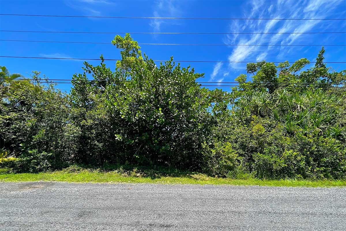 Beach Rd Property Photo 10