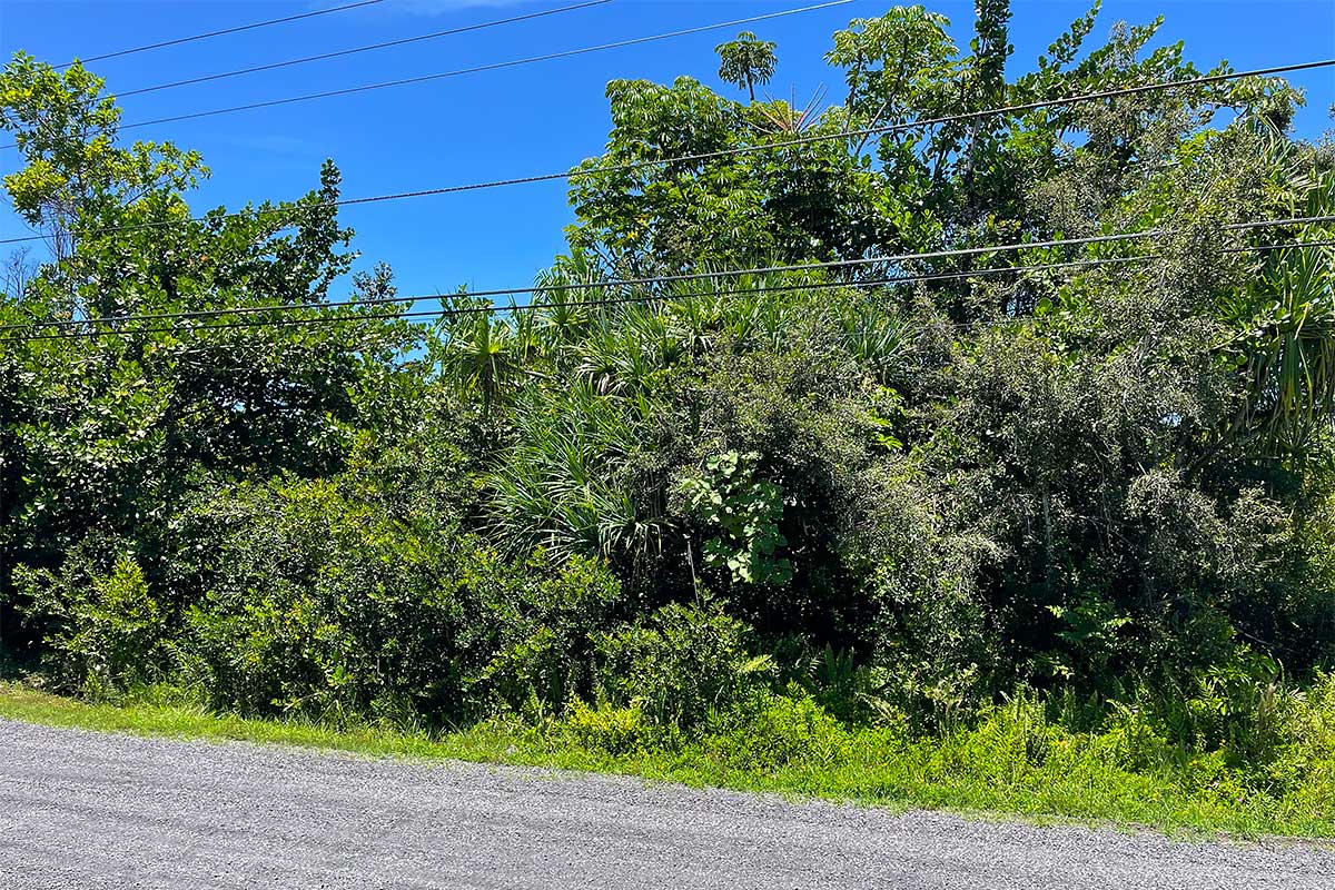 Beach Rd Property Photo 14