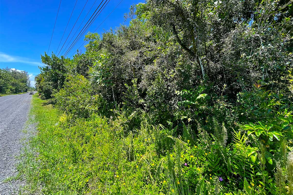 Beach Rd Property Photo 17