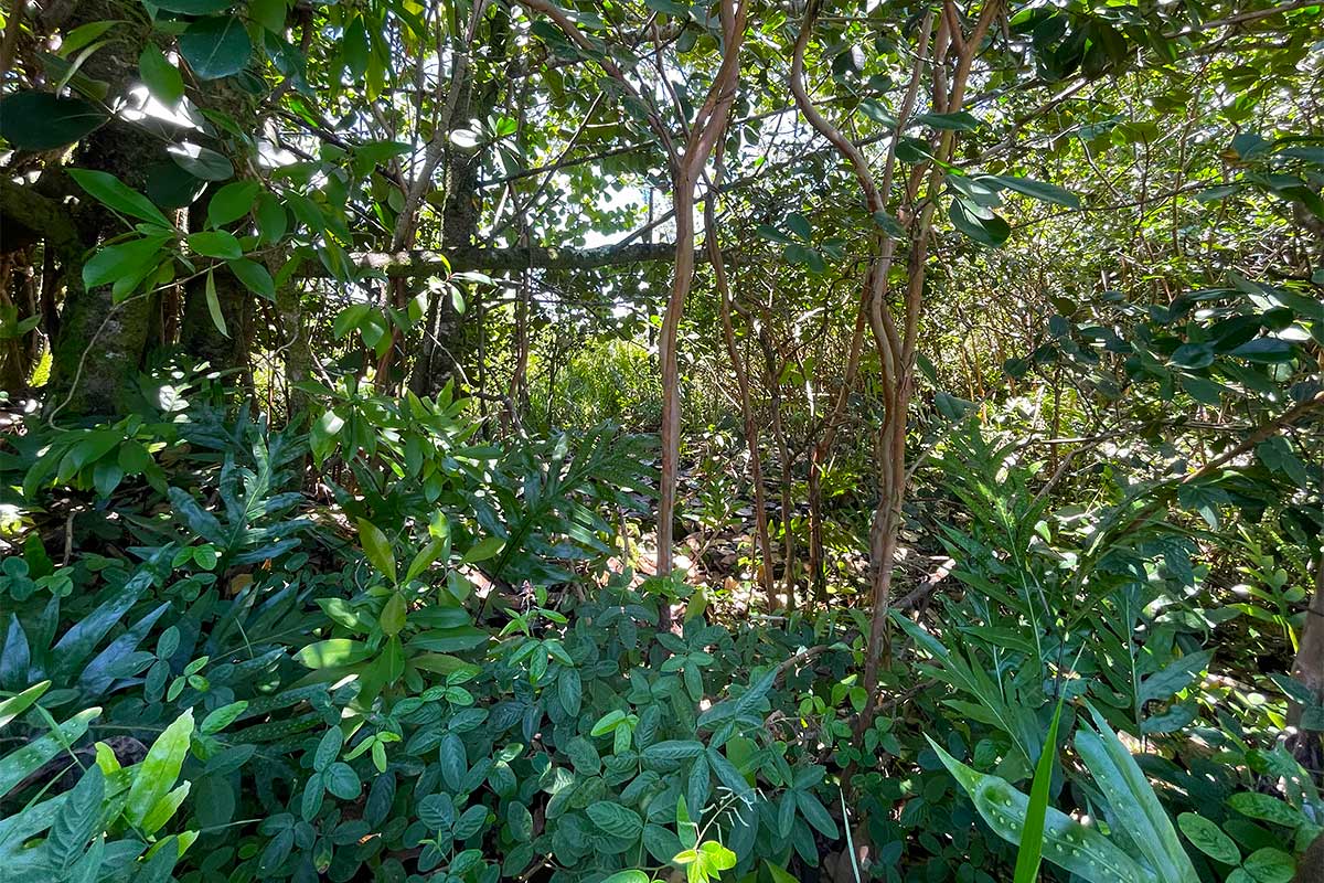 Beach Rd Property Photo 21