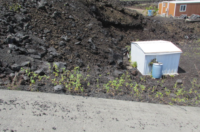Eiwa Ave Property Photo 5