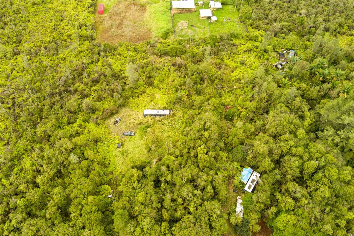 Ohelo St Property Photo 14