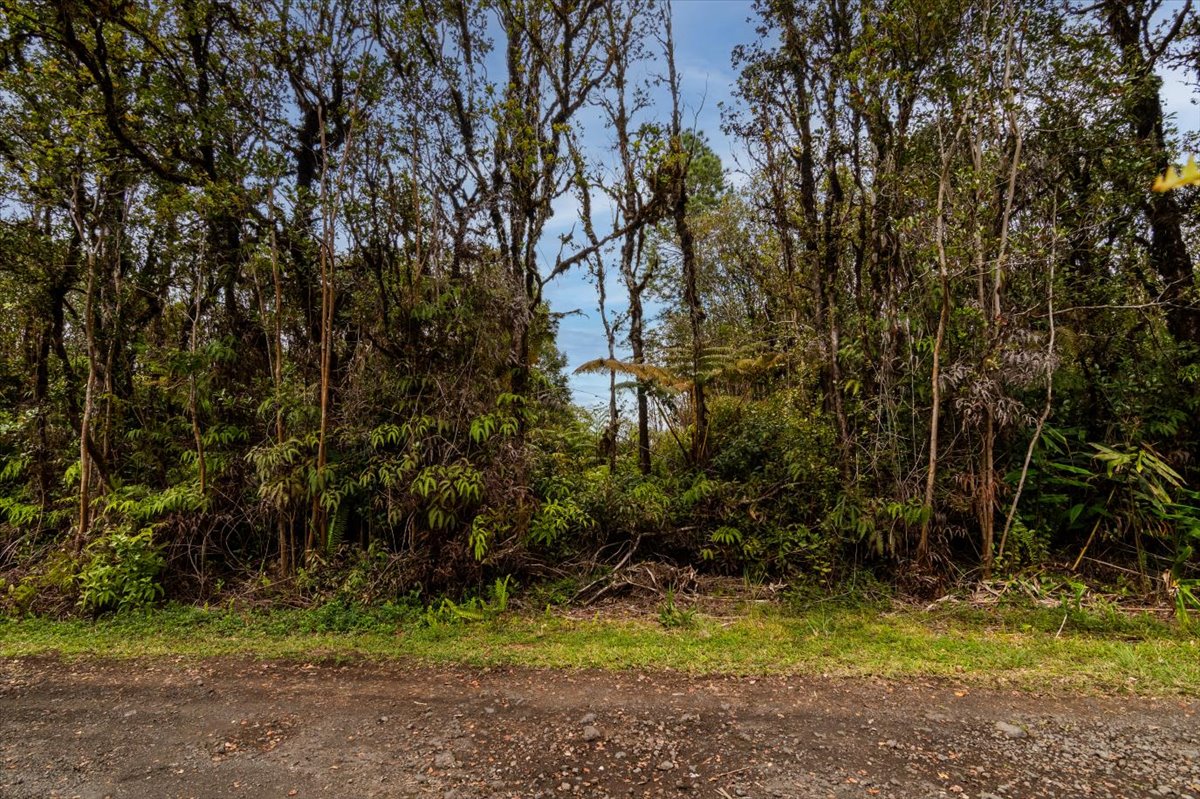 Ohelo St Property Photo 16