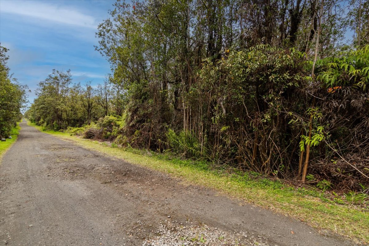 Ohelo St Property Photo 19