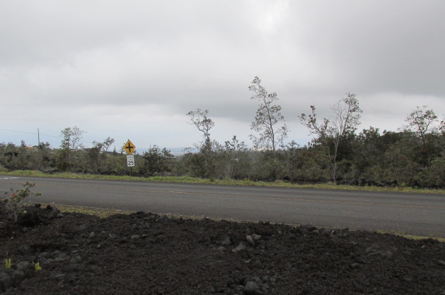 King Kamehameha Blvd Property Photo 4