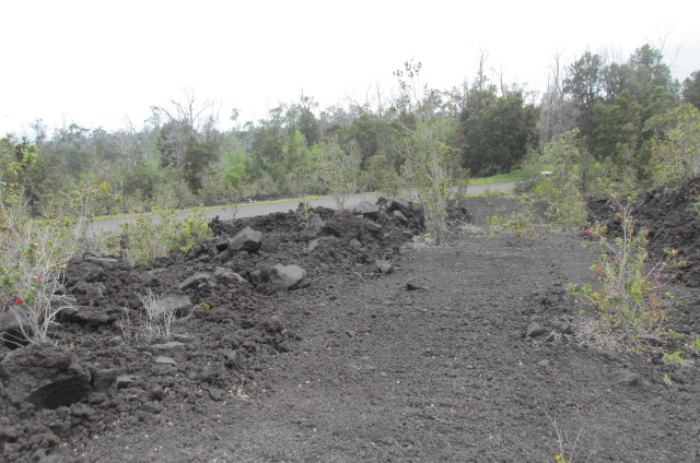 King Kamehameha Blvd Property Photo 5