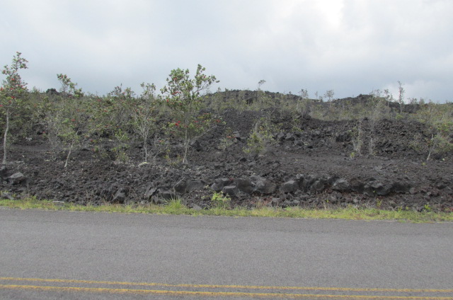 King Kamehameha Blvd Property Photo 6