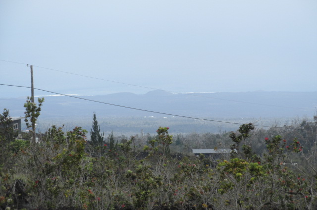 King Kamehameha Blvd Property Photo 7