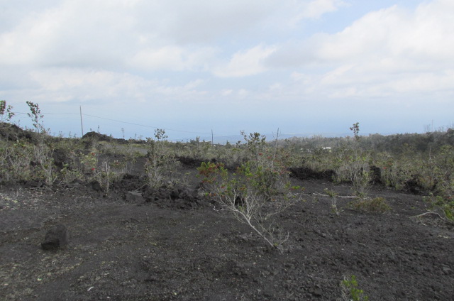 King Kamehameha Blvd Property Photo 8