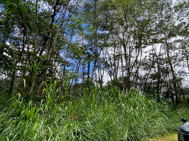 14-3525 Pikake Rd Property Photo 5