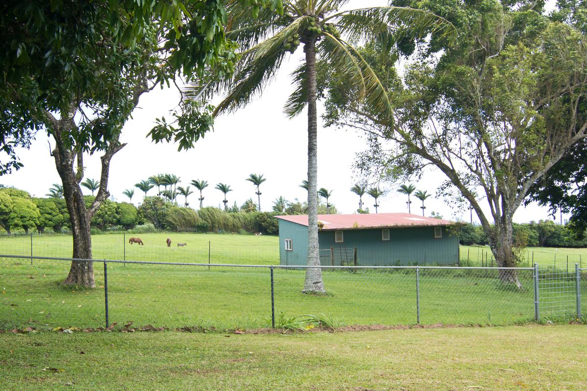 54-2461 Kynnersley Rd Property Photo 30