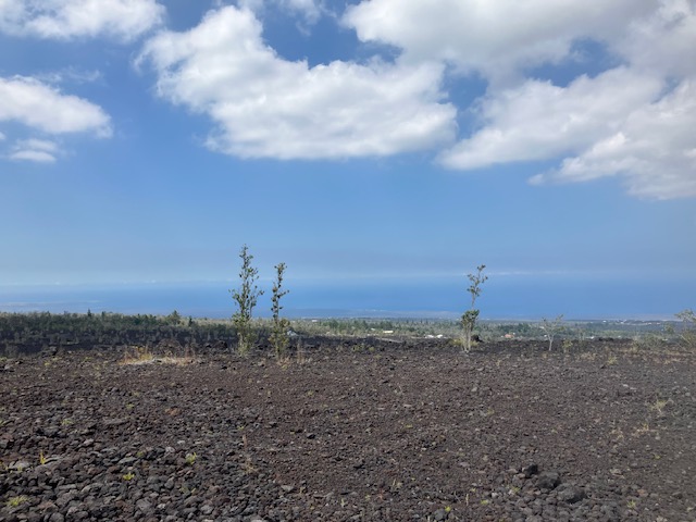 Aloha Blvd Property Photo 1