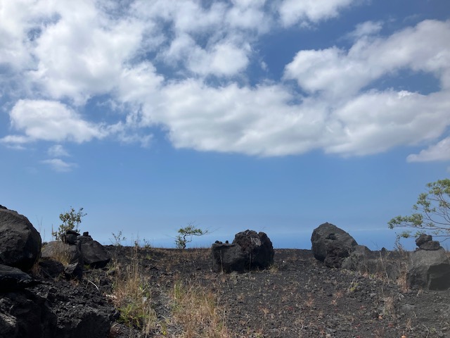 Aloha Blvd Property Photo 2