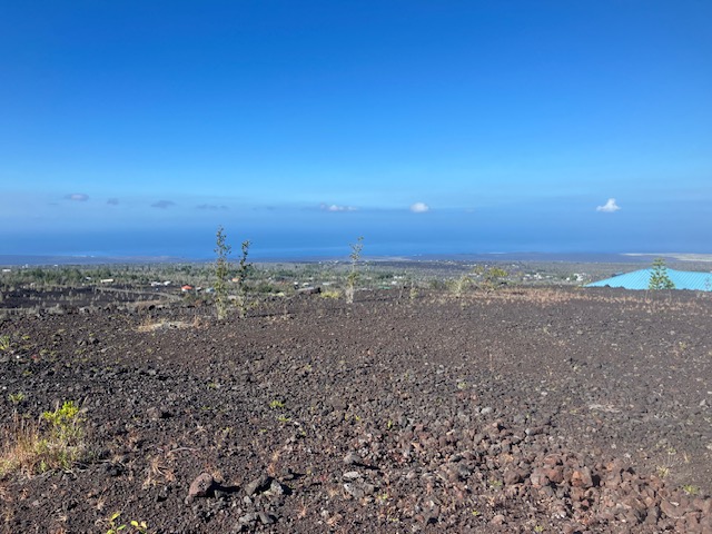 Aloha Blvd Property Photo 3