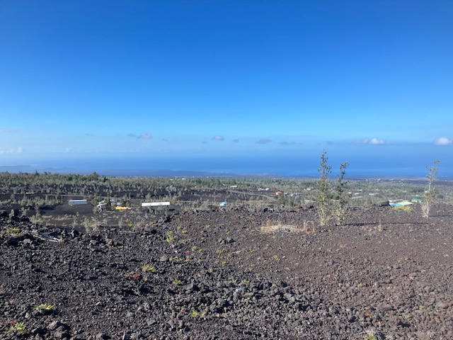Aloha Blvd Property Photo 6