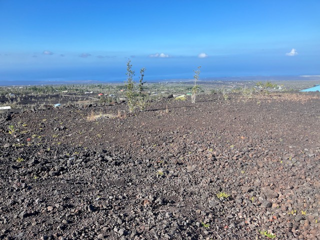Aloha Blvd Property Photo 8