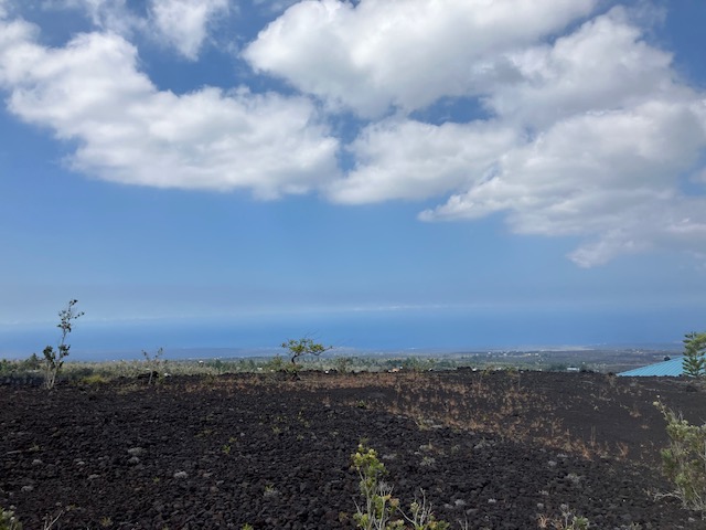 Aloha Blvd Property Photo 11