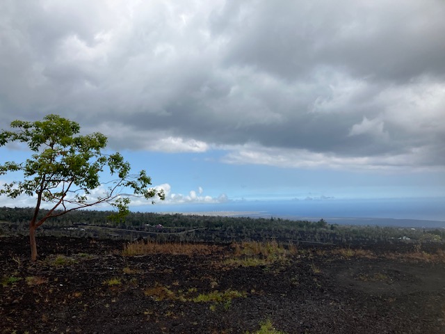Aloha Blvd Property Photo 15