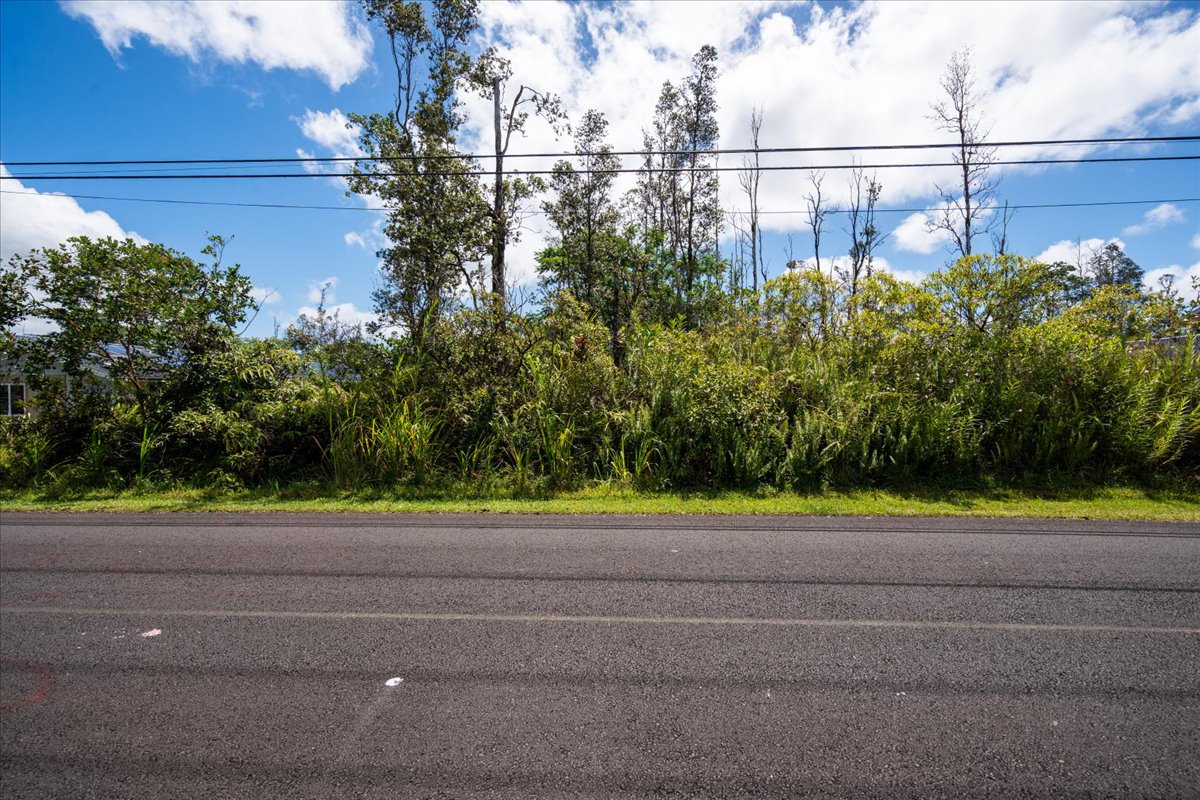 Paradise Dr Property Photo 2