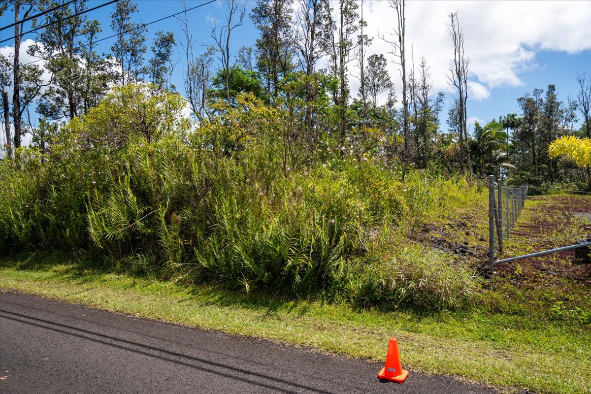 Paradise Dr Property Photo 5