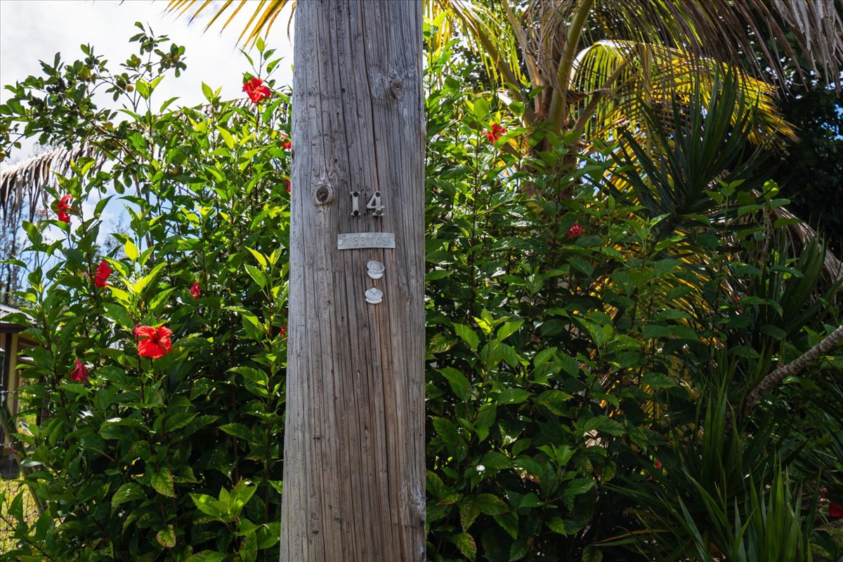 Paradise Dr Property Photo 14
