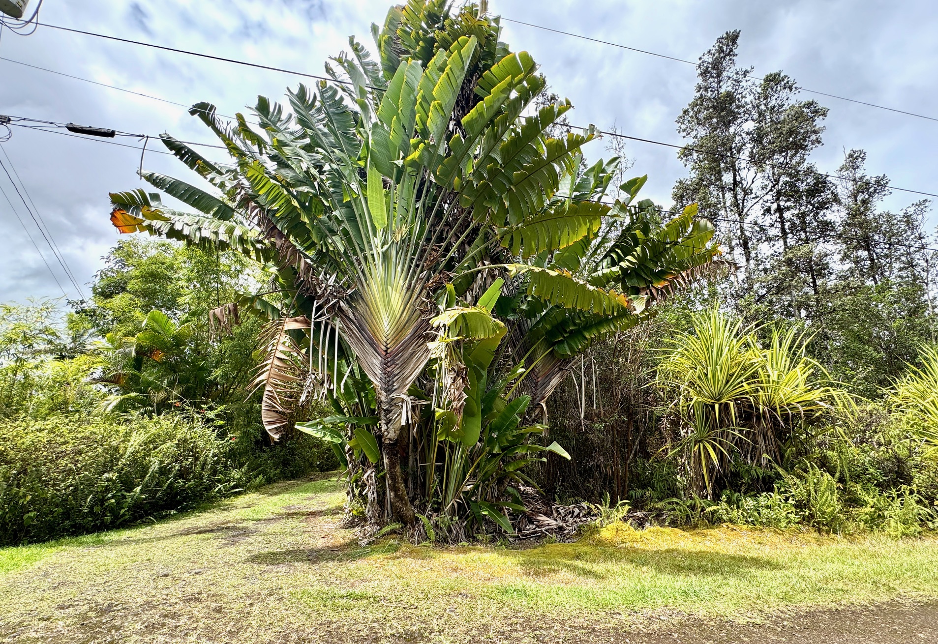 16-1630 Pulelehua Rd Property Photo 14