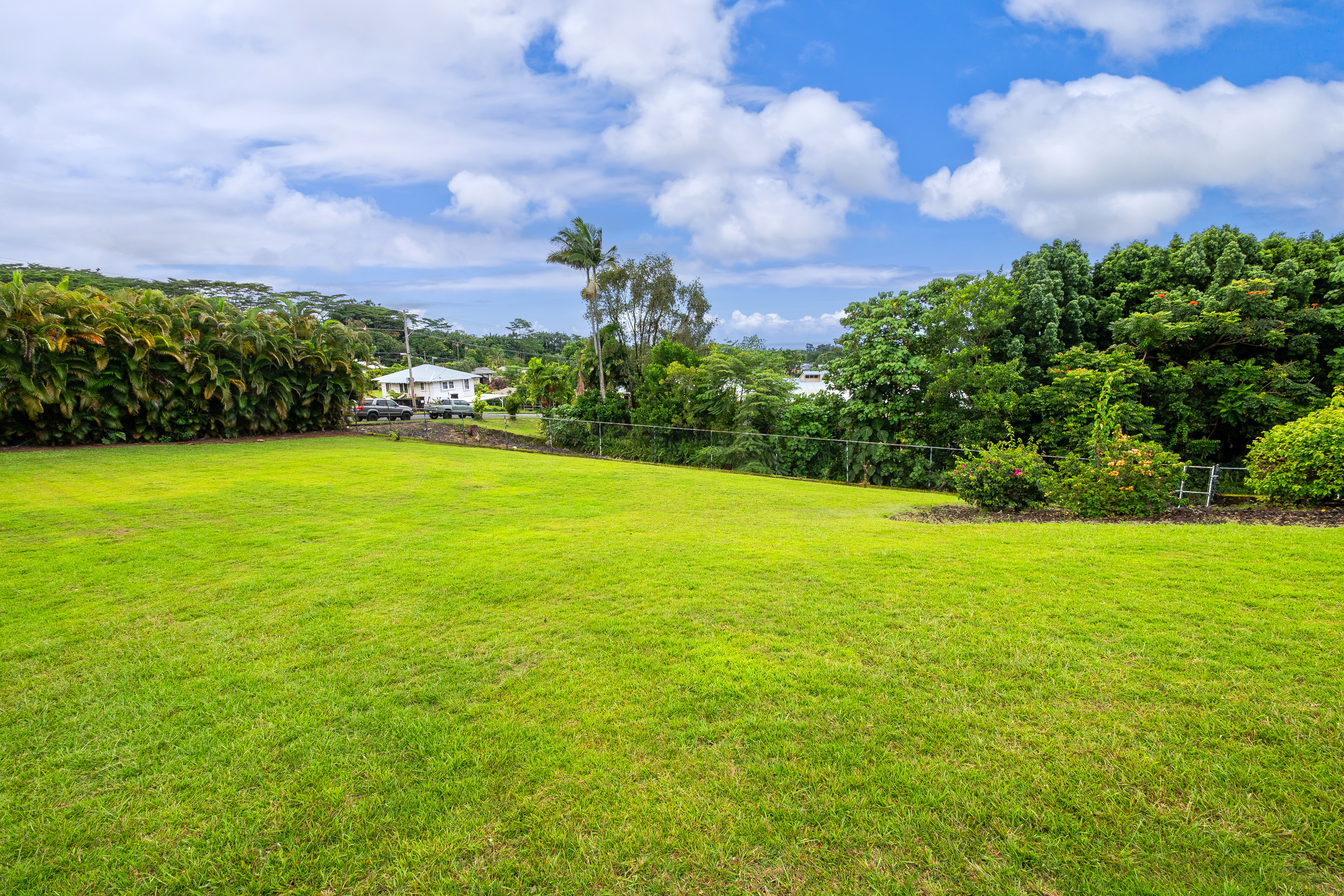 551 Kukuau St Property Photo 19
