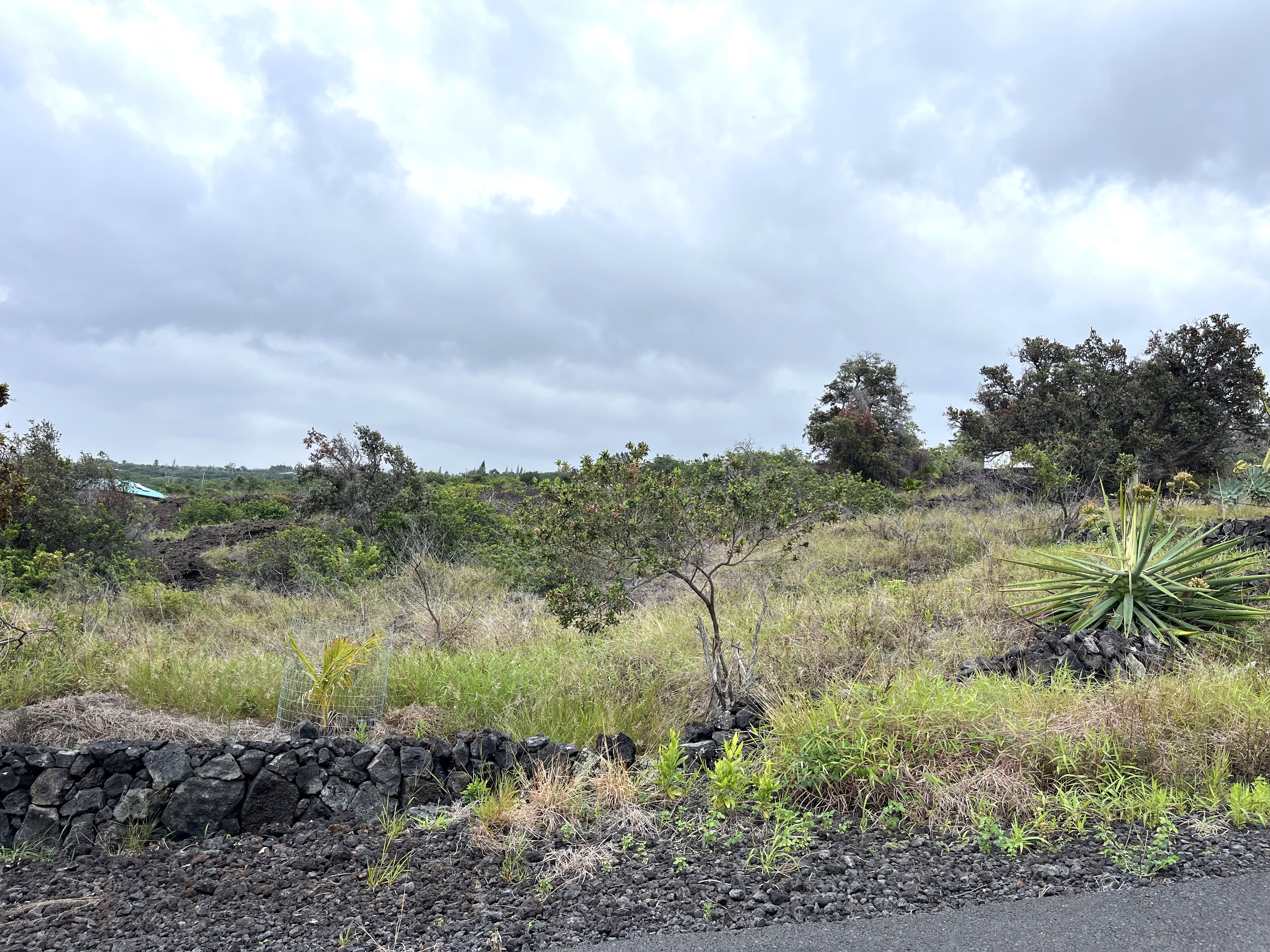 88-1484 Awapuhi Pl Property Photo 6