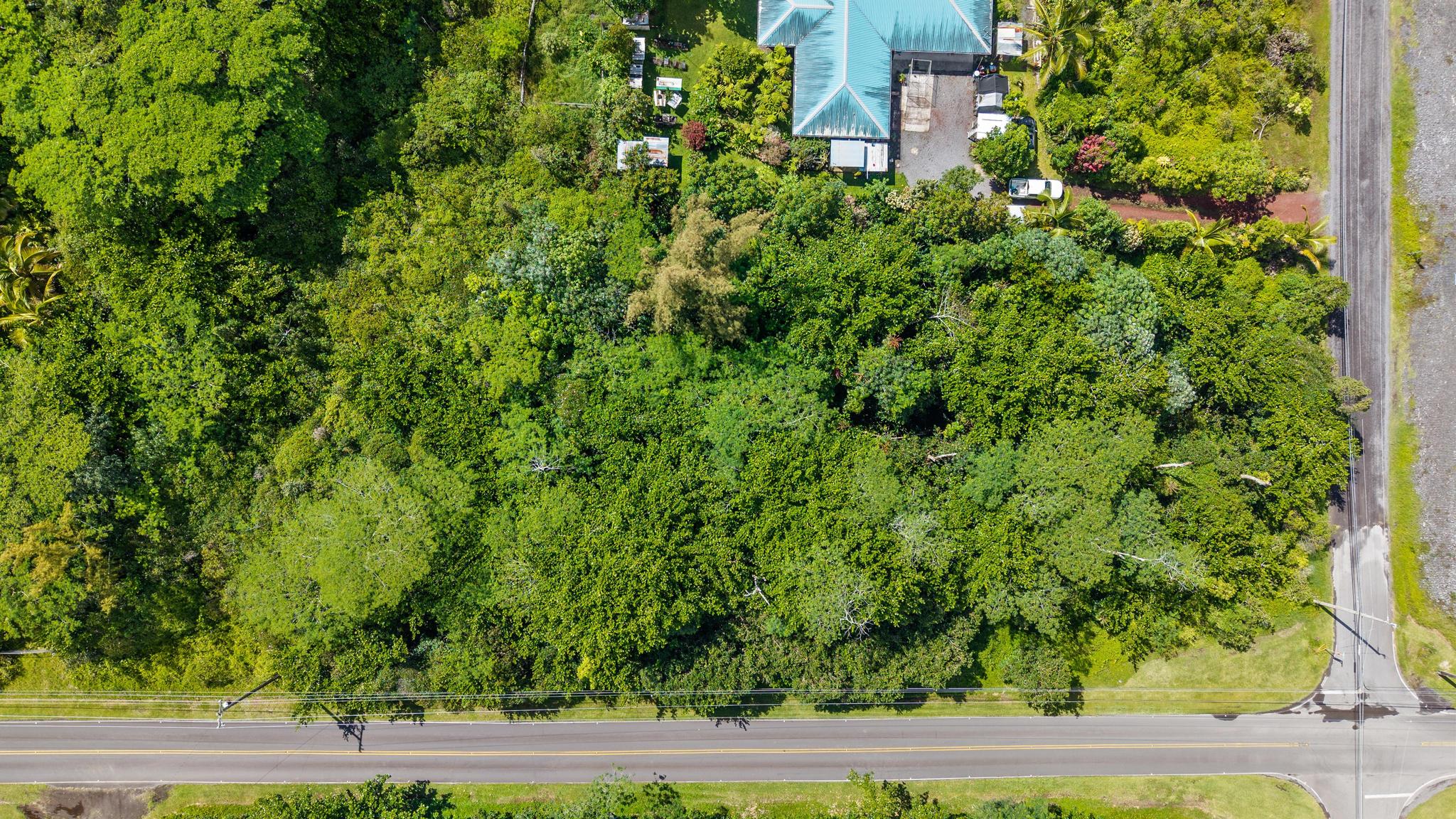 Paradise Dr Property Photo 1