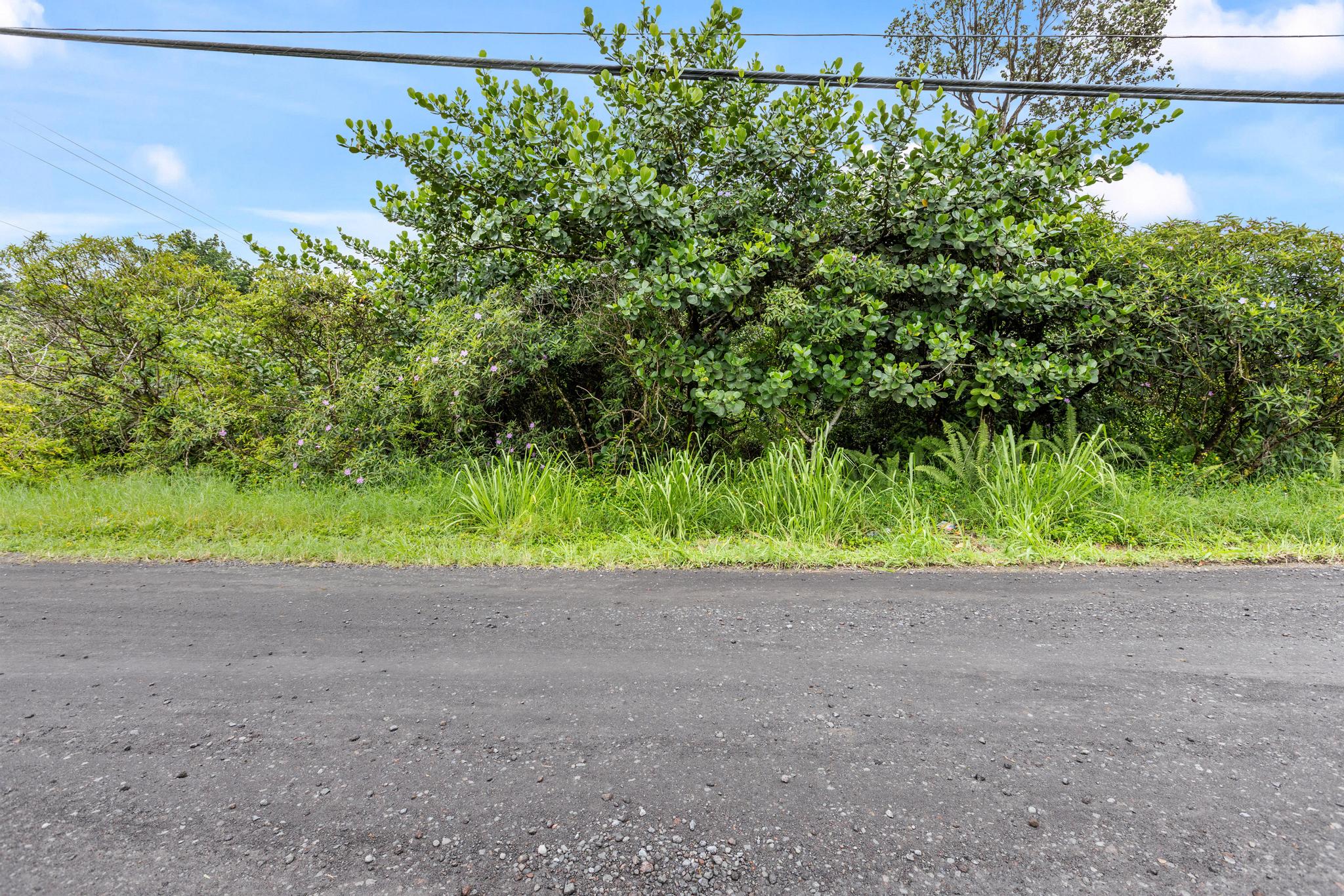 Paradise Dr Property Photo 7