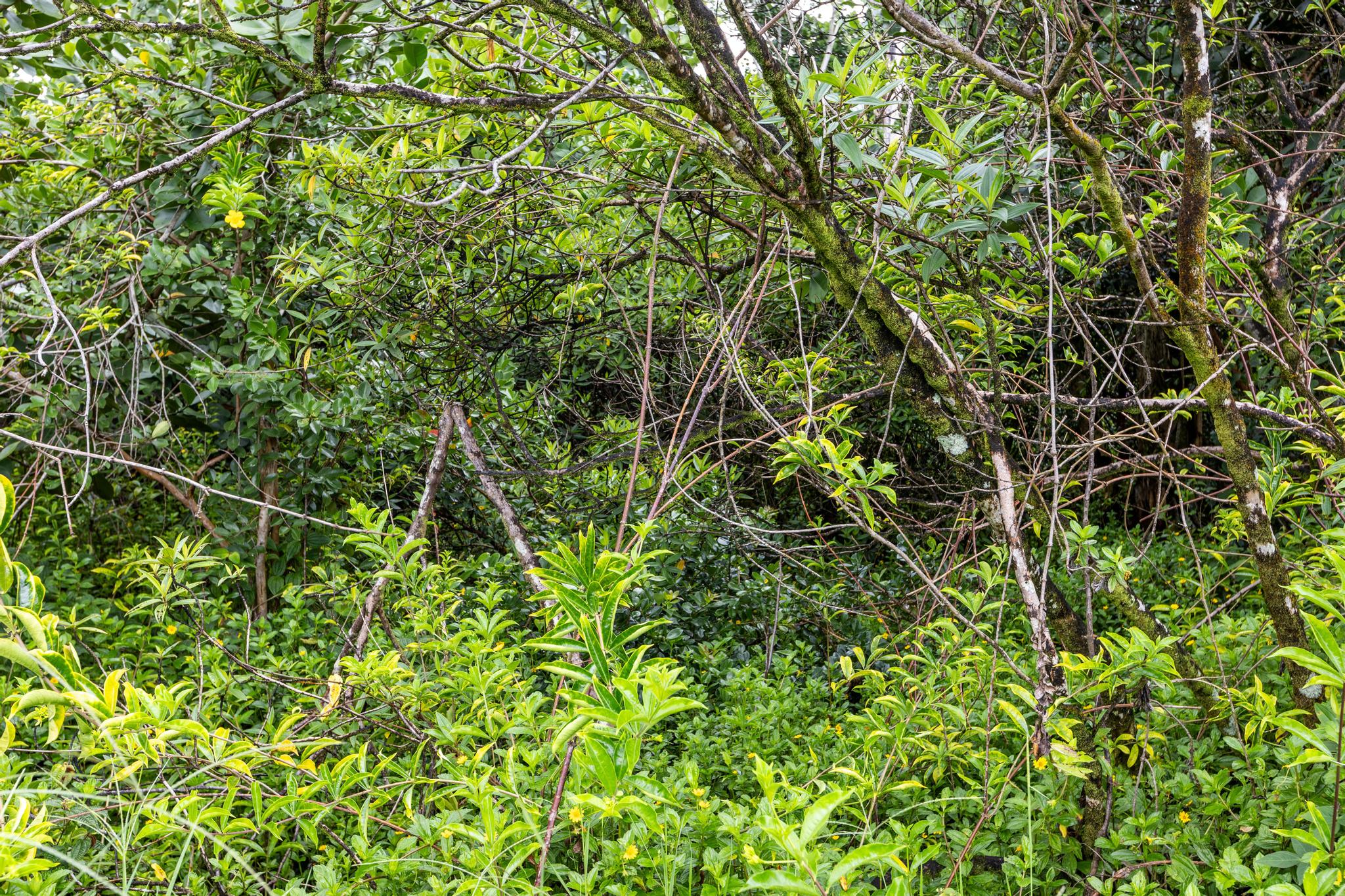Paradise Dr Property Photo 17