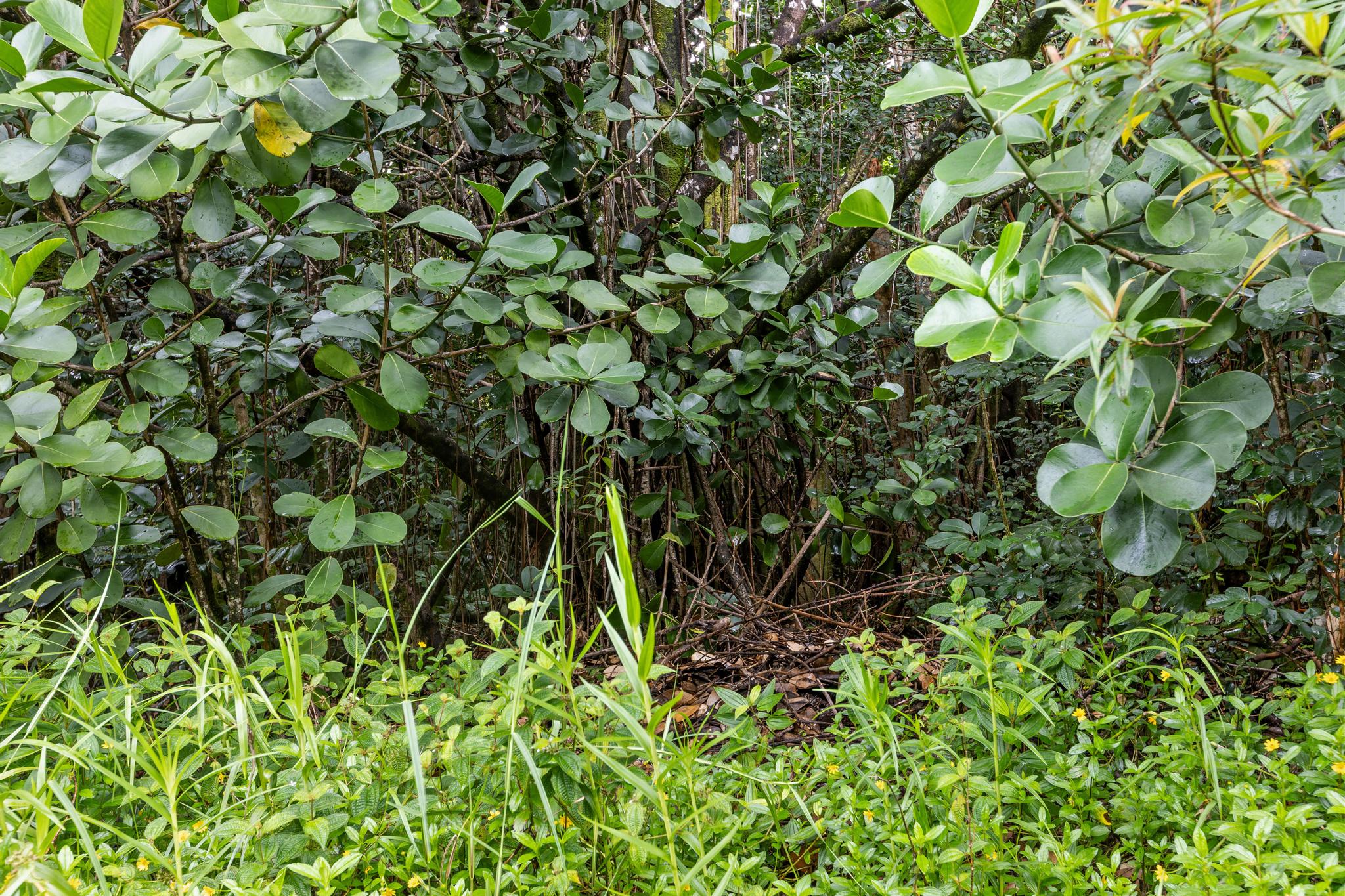 Paradise Dr Property Photo 22
